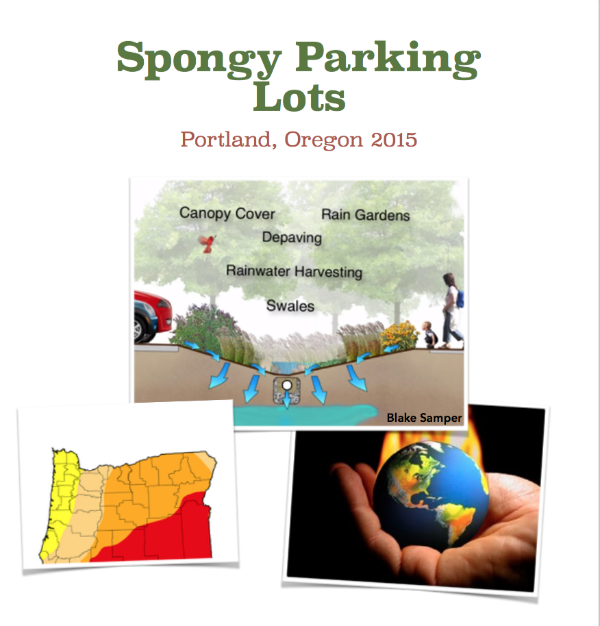 cover for spongy